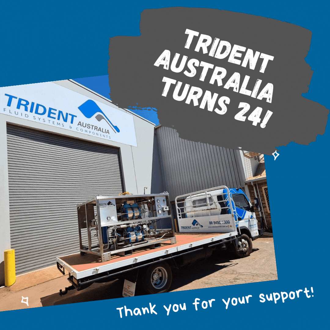 Trident Australia turns 24!